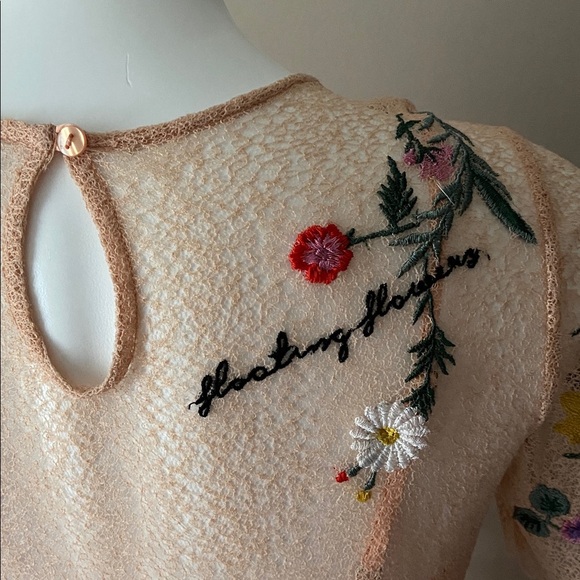 TOPSHOP Women’s Embroidered Mesh Floral Peach Short Sleeve Midi Dress Size 4 - Picture 12 of 17